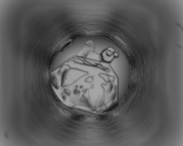 X0000093390405200710111351