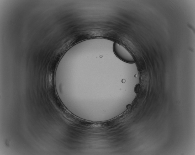 X0000093390406200710111351