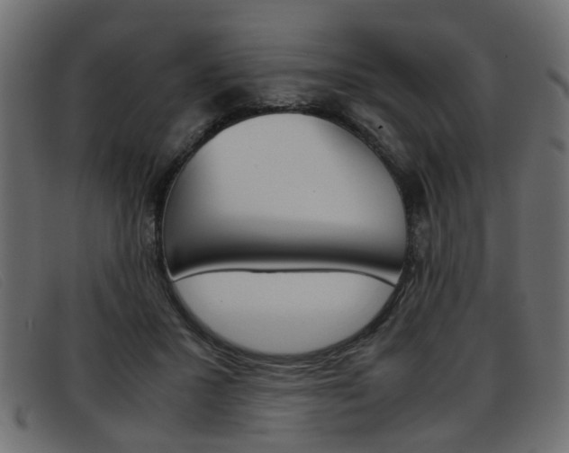 X0000093390407200710111351