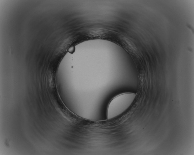 X0000093390408200710111351