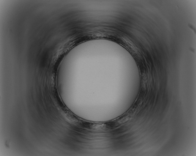 X0000093390410200710111351