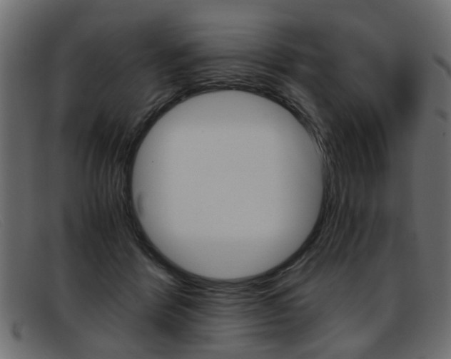 X0000093390412200710111351