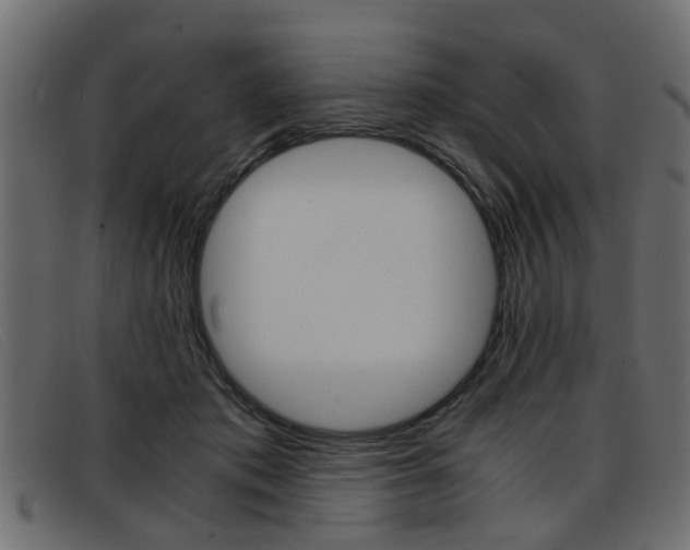 X0000093390413200710111351