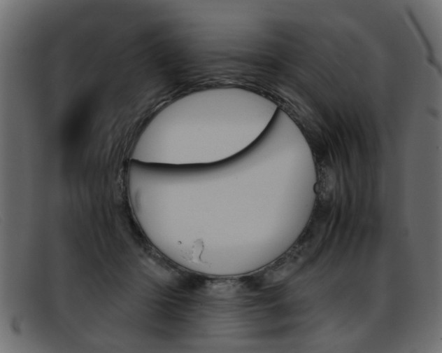 X0000093390414200710111351