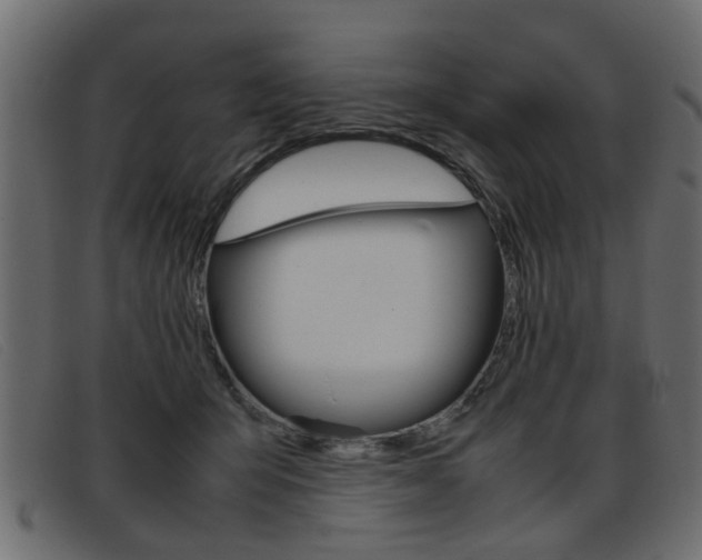X0000093390415200710111351