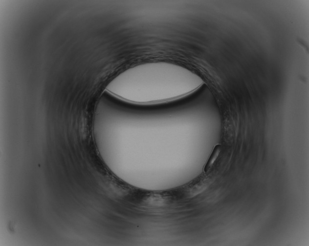 X0000093390416200710111351
