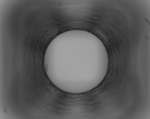 X0000093390417200710111351