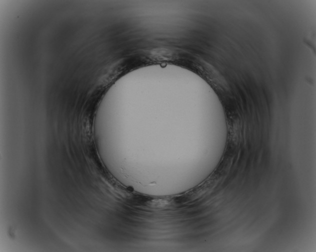 X0000093390418200710111351