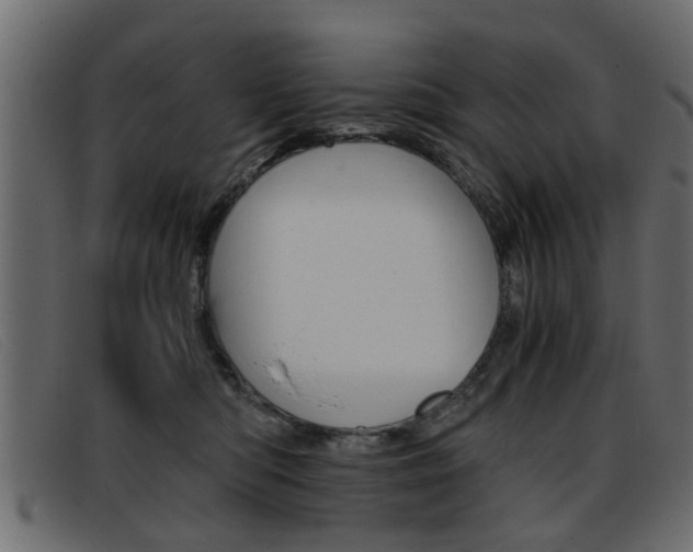 X0000093390422200710111351