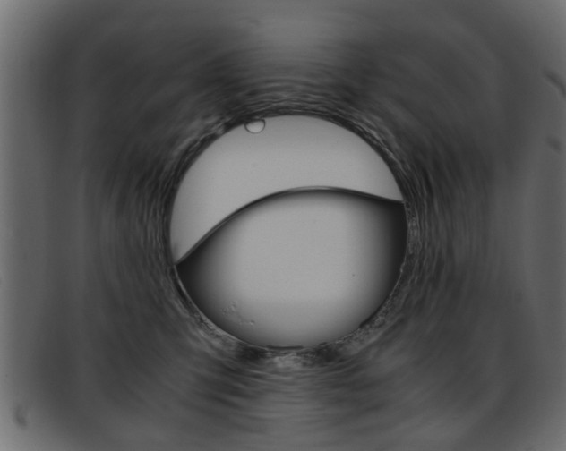 X0000093390423200710111351