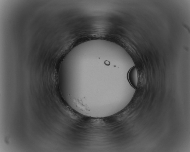 X0000093390424200710111351