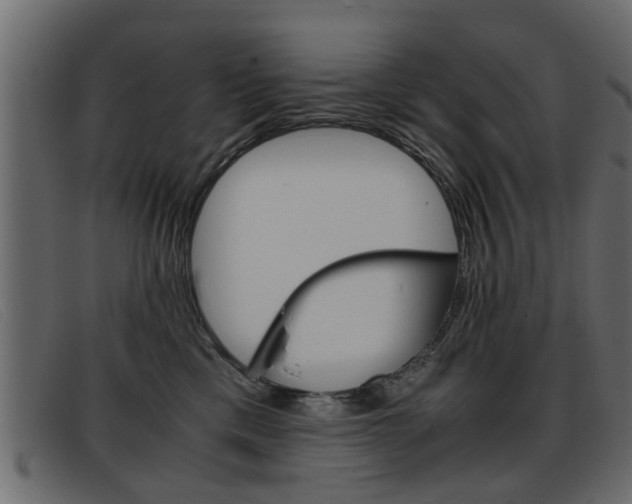 X0000093390425200710111351