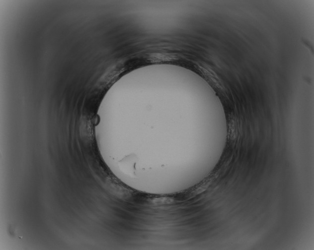 X0000093390426200710111351