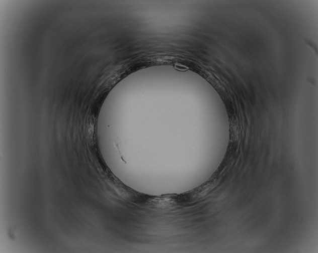 X0000093390427200710111351