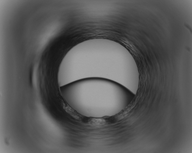 X0000093390429200710111351