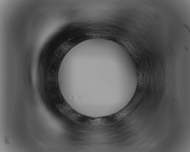 X0000093390430200710111351