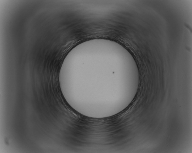 X0000093390432200710111351