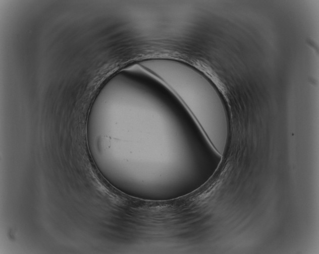 X0000093390433200710111350