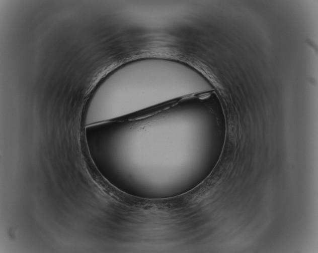 X0000093390434200710111350