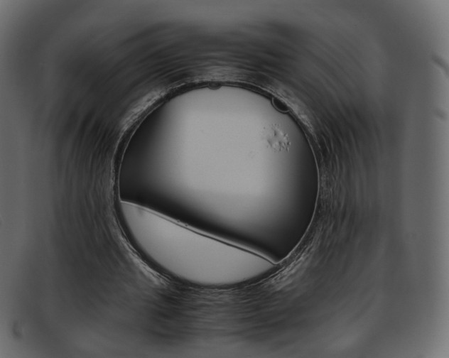 X0000093390437200710111350
