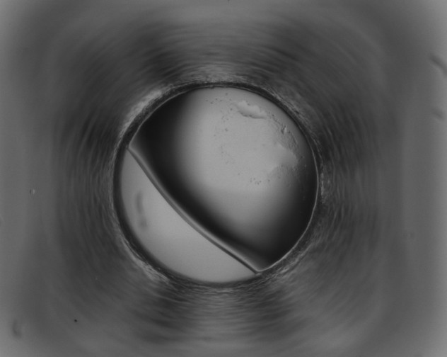 X0000093390438200710111350