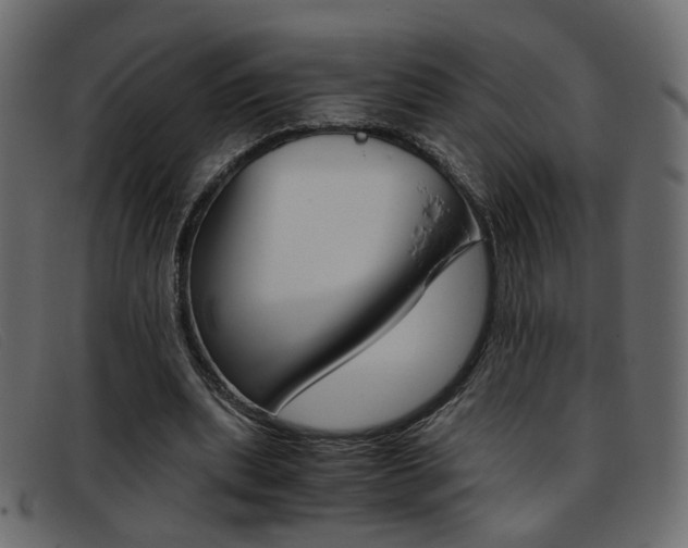 X0000093390439200710111350