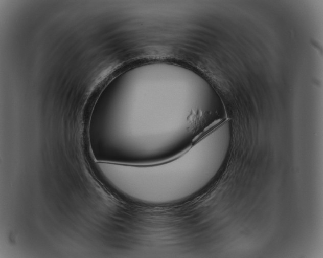 X0000093390440200710111350