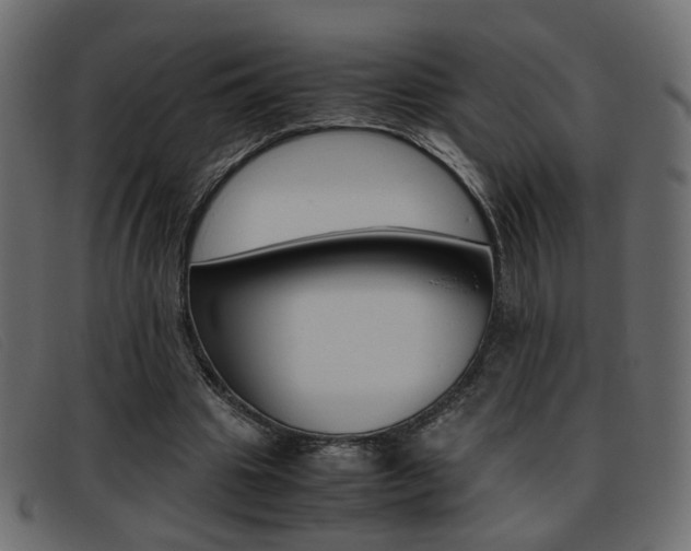 X0000093390441200710111350