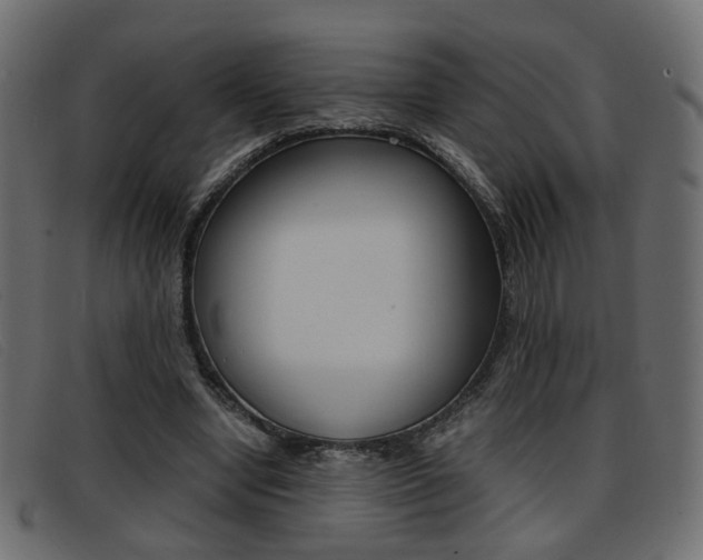 X0000093390442200710111350