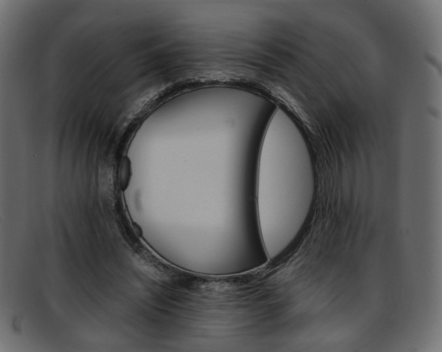 X0000093390444200710111351