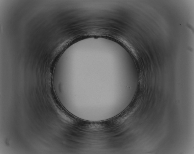X0000093390445200710111351