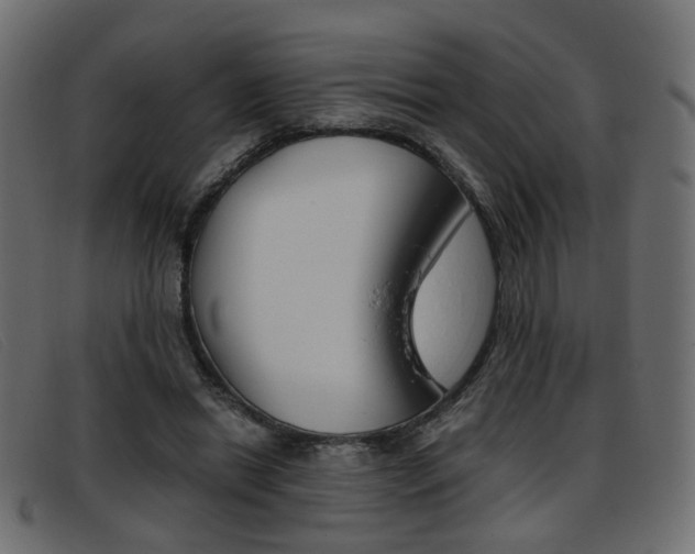 X0000093390446200710111351