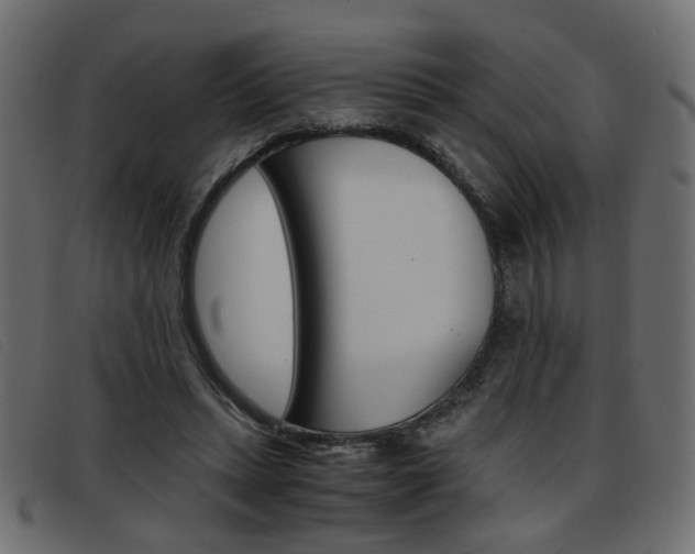 X0000093390447200710111351