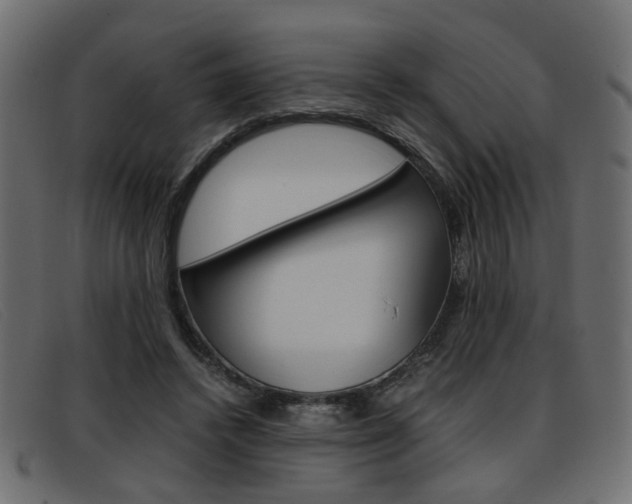 X0000093390448200710111351