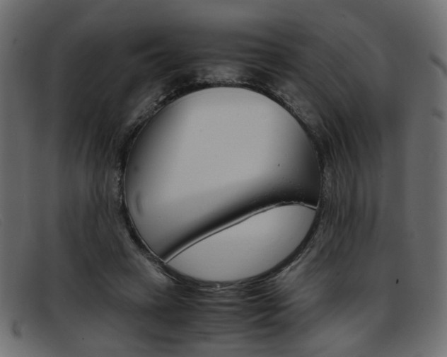 X0000093390449200710111351