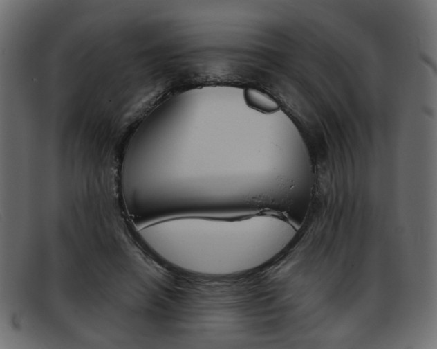 X0000093390450200710111351