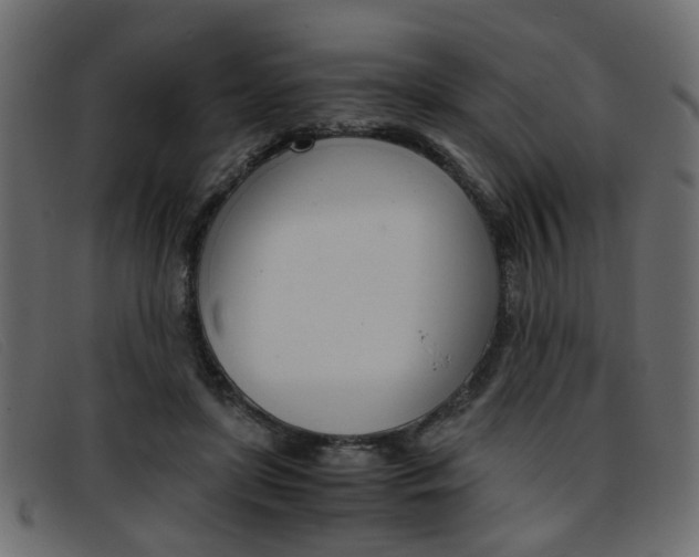 X0000093390451200710111351