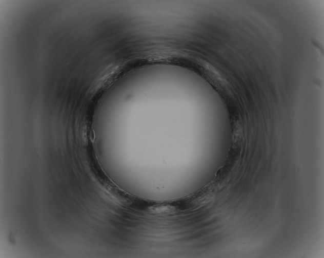 X0000093390452200710111351
