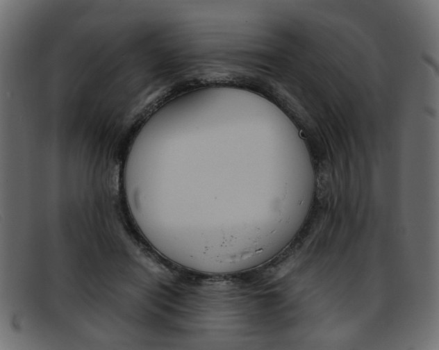 X0000093390454200710111351