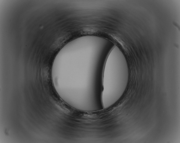 X0000093390455200710111351