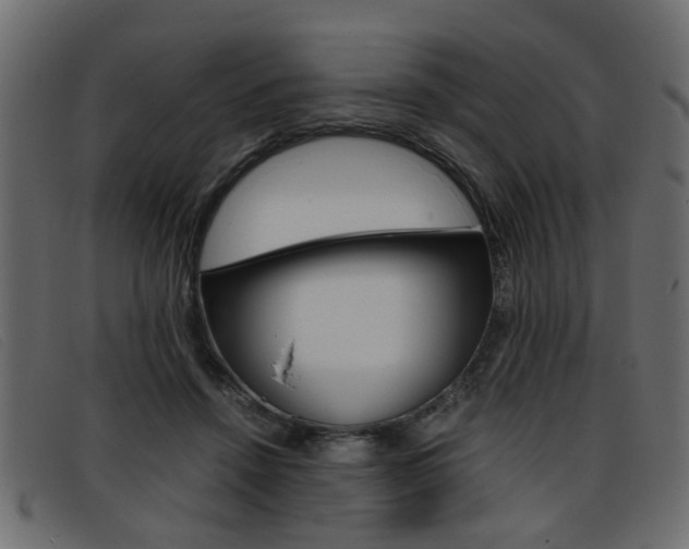 X0000093390456200710111351