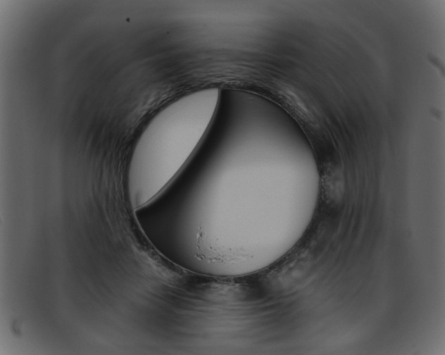 X0000093390458200710111351
