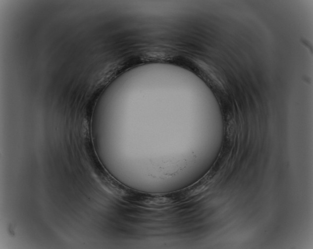 X0000093390459200710111351