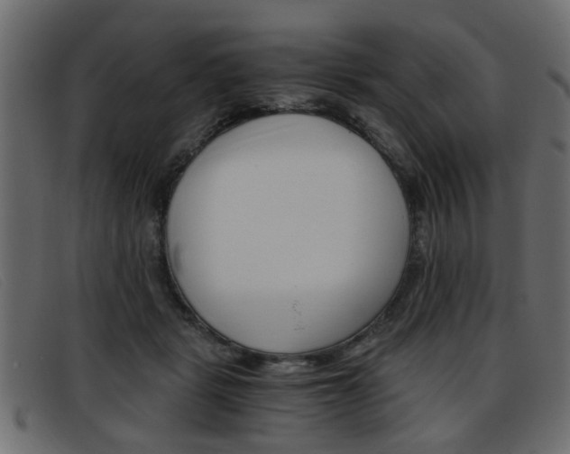 X0000093390461200710111351