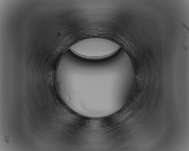 X0000093390462200710111351