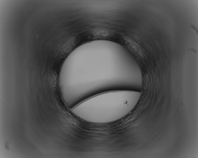 X0000093390463200710111351