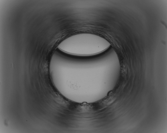 X0000093390466200710111351