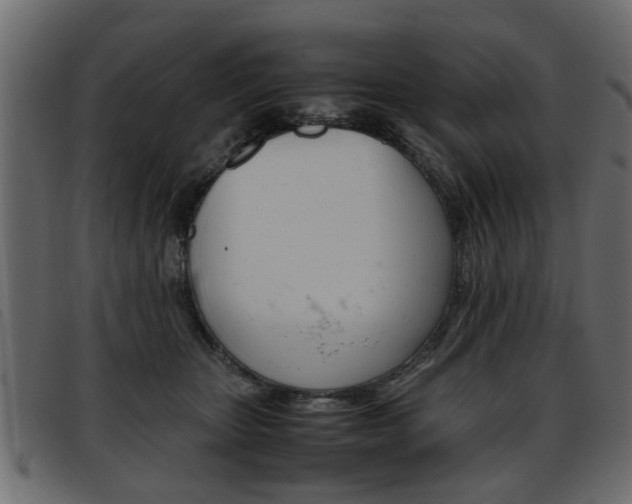 X0000093390467200710111351