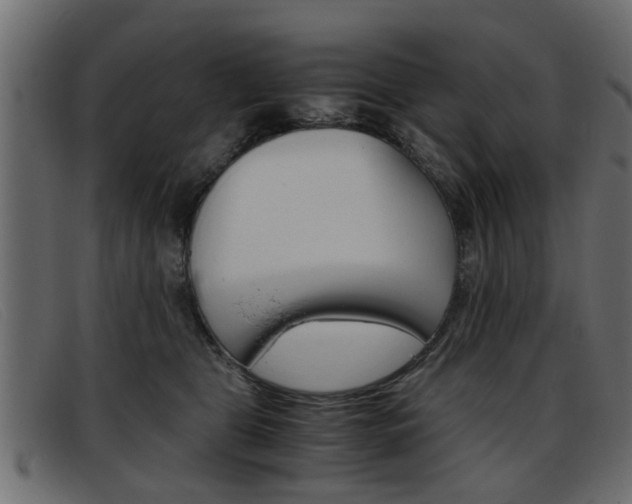 X0000093390469200710111351