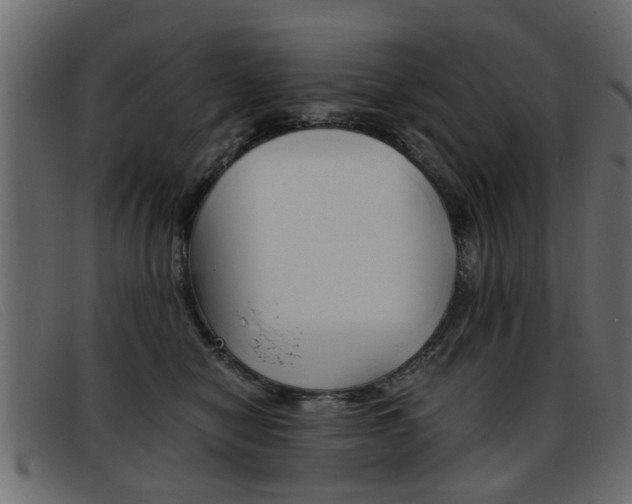 X0000093390470200710111351